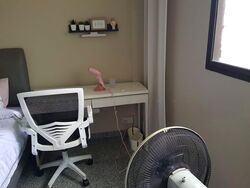 Blk 403 Jurong West Street 42 (Jurong West), HDB 4 Rooms #557203301